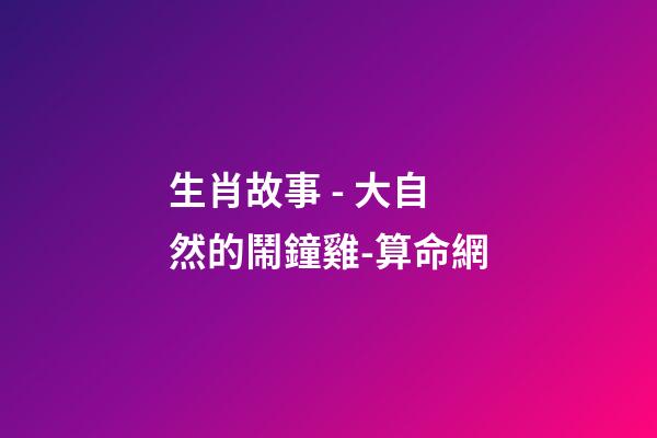 生肖故事 - 大自然的鬧鐘雞-算命網